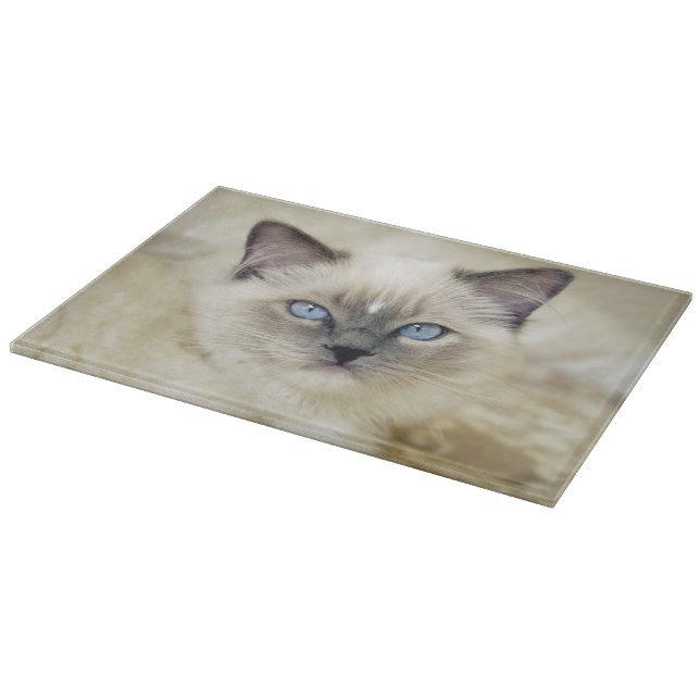 Ragdoll kitten cutting board (Corner)
