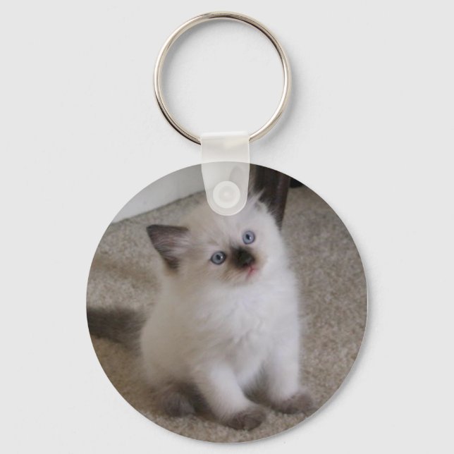 Ragdoll Kitten Key Ring (Front)