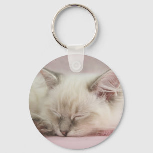 ragdoll kitten keychain