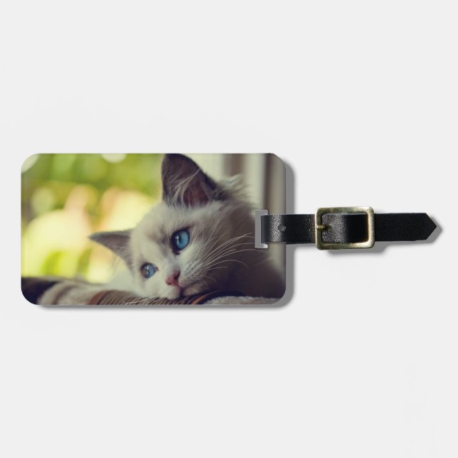 Ragdoll Kitten Luggage Tag (Front Horizontal)