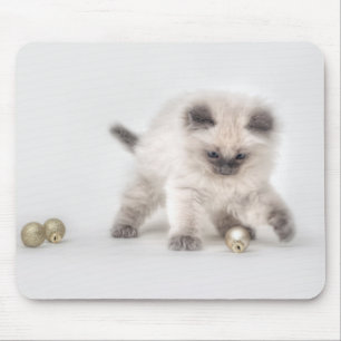 Ragdoll Kitten mousepad