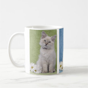 Ragdoll kitten mug