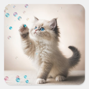 Ragdoll Kitten Playing With Bubbles Square Sticker
