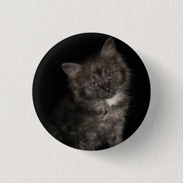 Ragdoll kitten ragdoll cat face black white kitty  3 cm round badge (Front)