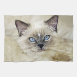 Ragdoll kitten tea towel