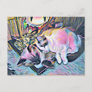 Ragdoll Kittens Postcard