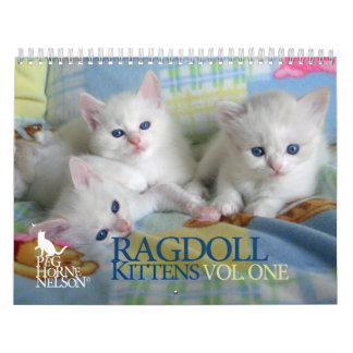 Ragdoll Kittens Vol. One Calendar