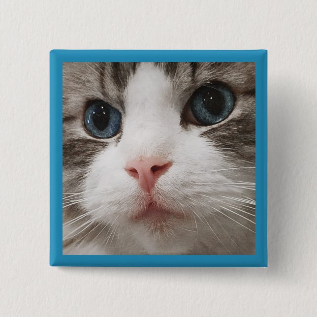 Ragdoll Kitty 15 Cm Square Badge (Front)