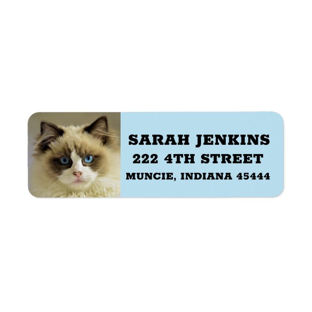  RAGDOLL PERSIAN CAT Big Return Address Labels (Front)