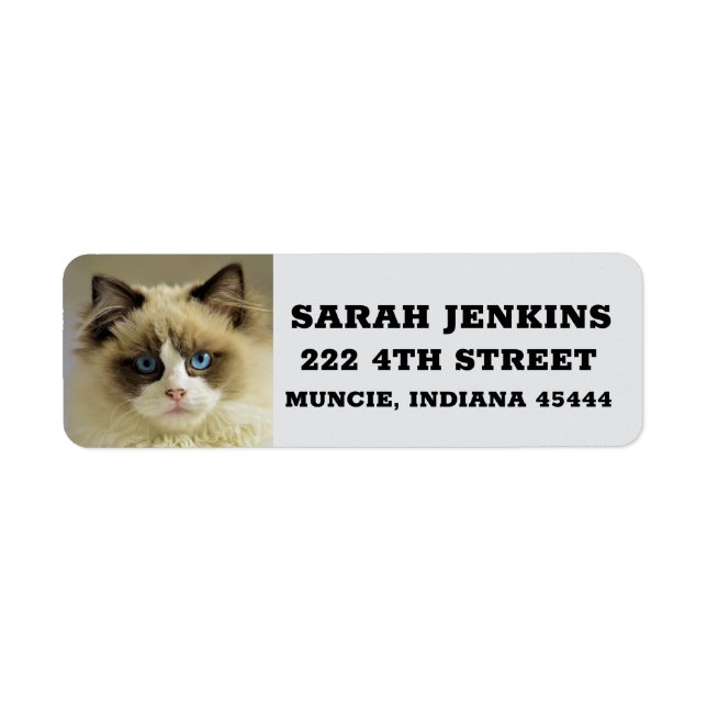  RAGDOLL PERSIAN CAT Big Return Address Labels (Front)
