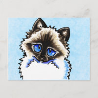 Ragdoll Ragamuffin Illustrated