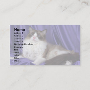 Ragdoll, seal bi-colour business card