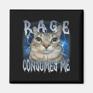 Rage Consumes Me Cat Vintage Funny Meme Magnet