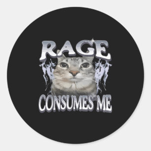 Rage Consumes Me Funny Silly Staring Cat Meme Wome Classic Round Sticker