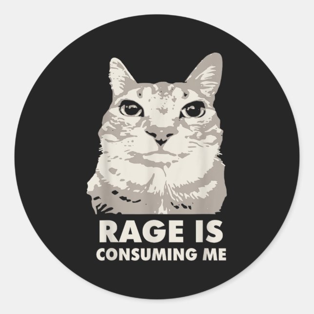 Rage Is Consuming Me Angry Cat Meme Sarcasm Funny  Classic Round Sticker (Front)