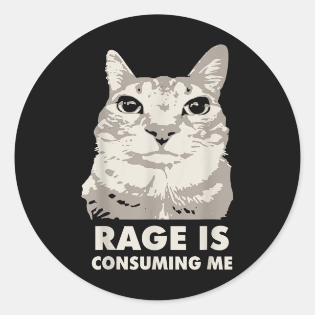 Rage Is Consuming Me Angry Cat Meme Sarcasm Funny  Classic Round Sticker (Front)