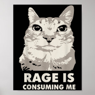 Rage Is Consuming Me Angry Cat Meme Sarcasm Funny  Poster
