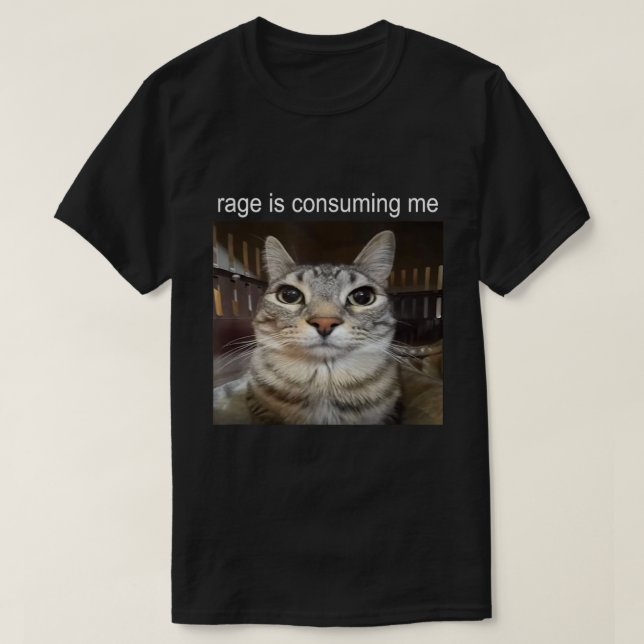 Rage Is Consuming Me Cat Meme Shirt (Design Front)