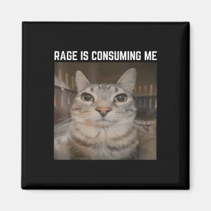Rage Is Consuming Me Meme Cat Meme Oddly Specific  Magnet