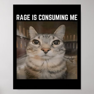 Rage Is Consuming Me Meme Cat Meme Oddly Specific Poster
