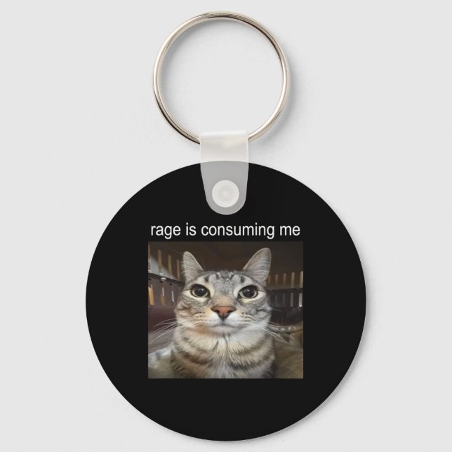 Rage Is Consuming Me Silly Staring Cat Meme  Key Ring (Front)