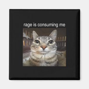 Rage Is Consuming Me Silly Staring Cat Meme  Magnet
