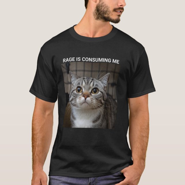 Rage Is Consuming Me Silly Staring Cat Meme T-Shirt (Front)