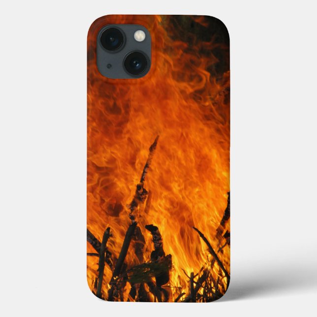 Raging Fire Case-Mate iPhone Case (Back)