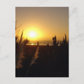 Raglan Sunset Postcard