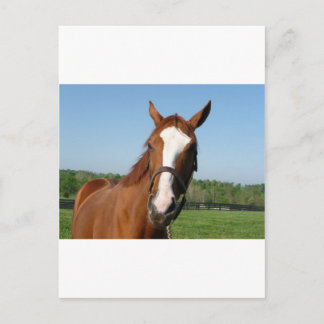 Rags to Riches headshot Postcard