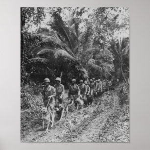 Raiders Poster