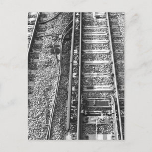 Railroad Tracks, Black and White Picture. Postcard
