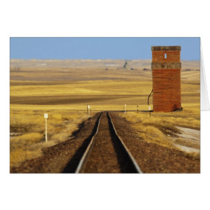 Railroad tracks lead to old granary at Collins