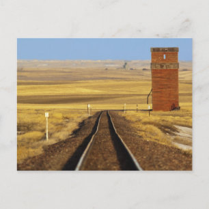 Railroad tracks lead to old granary at Collins Postcard