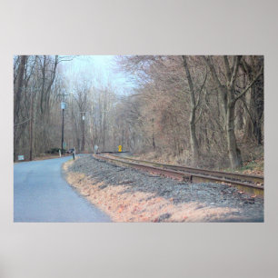 Railroad Tracks Poster