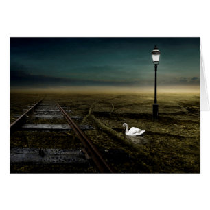 Railway 2013