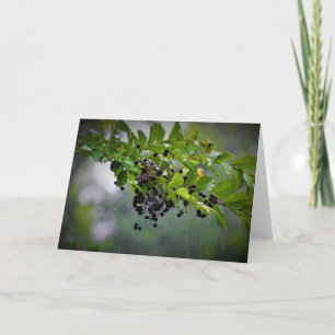 Rain, card