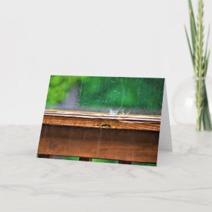 Rain, card