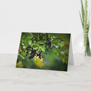 Rain, card