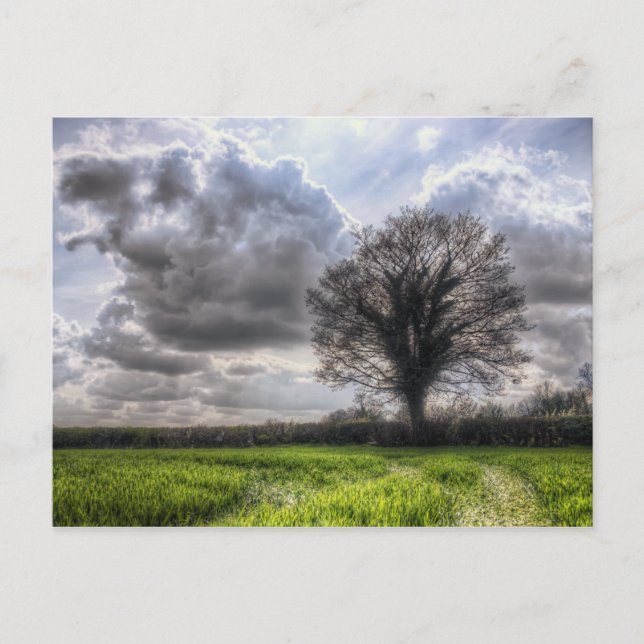 Rain Clouds in Spring HDR Postcard (Front)
