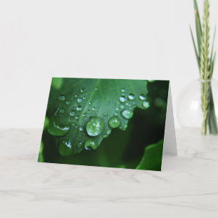 Rain Drop Blank Note Card