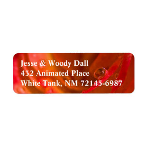 Rain Drop Flaming Rose Address Label