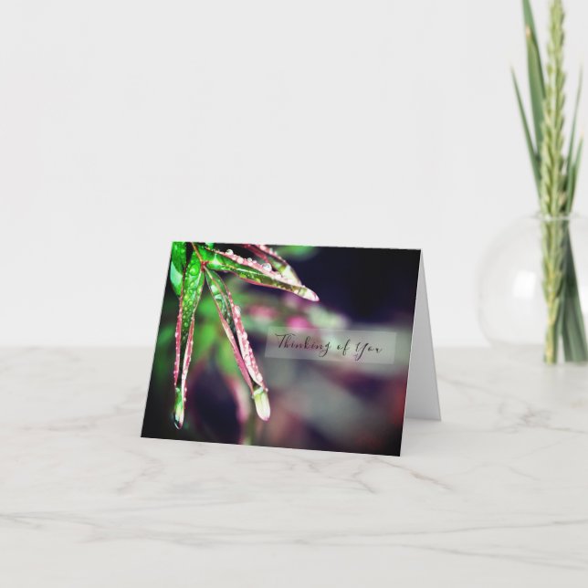 Rain Droplets on Leaf Thinking of You Card (Front)