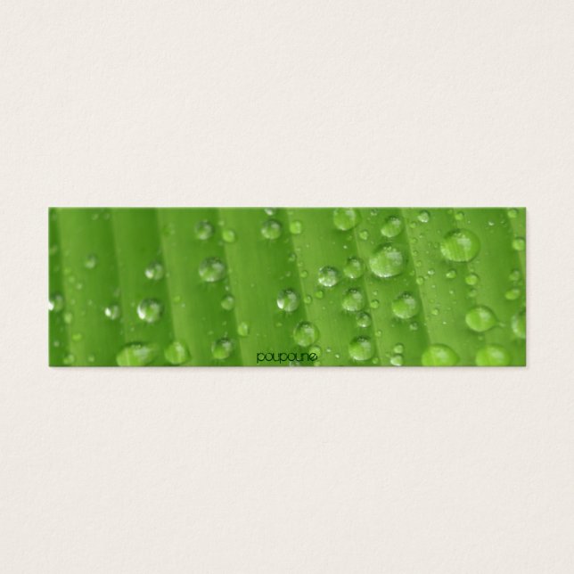 rain drops (Front)