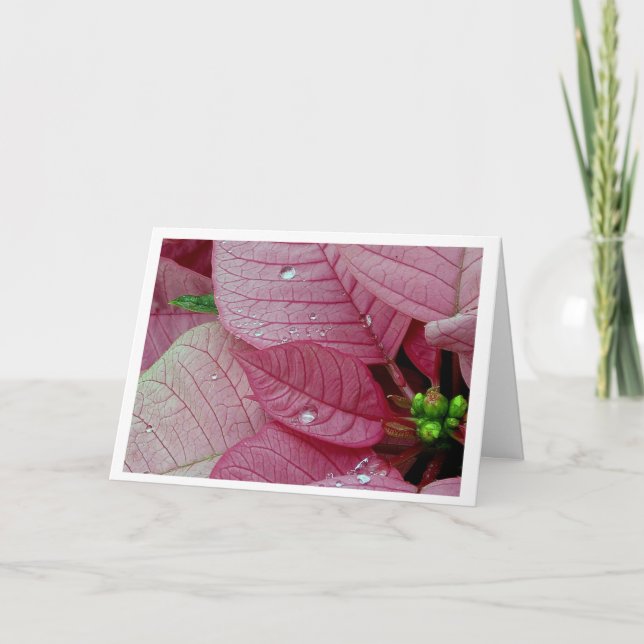 Rain Drops Holiday Card (Front)