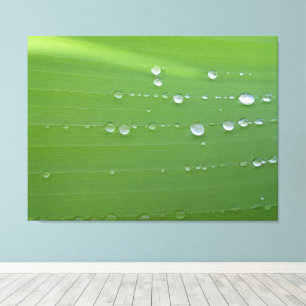 Rain Drops on Green Leaf Photography Canvas Print