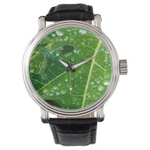 Rain Drops on Green Papaya Leaf Watch