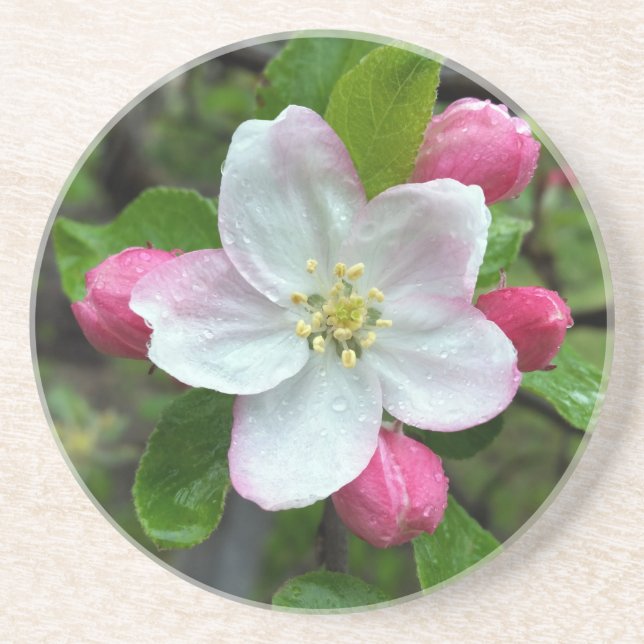 Rain drops on little flower coaster (Front)