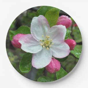 Rain drops on little flower paper plate