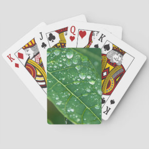 Rain Drops on Papaya Leaf Playing Cards